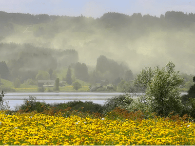 How Climate Change is Making Your Fall Allergies Worse (Part 1)